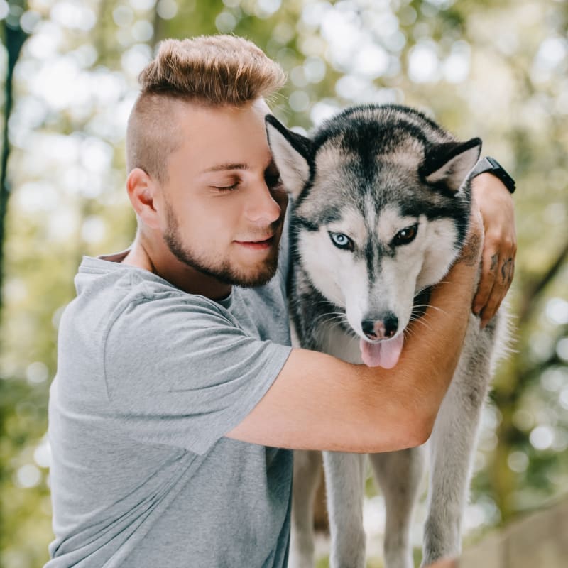 Puppies & Kittens, Yucaipa Veterinarians